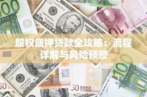 北京股权质押贷款全攻略：流程详解与风险预警