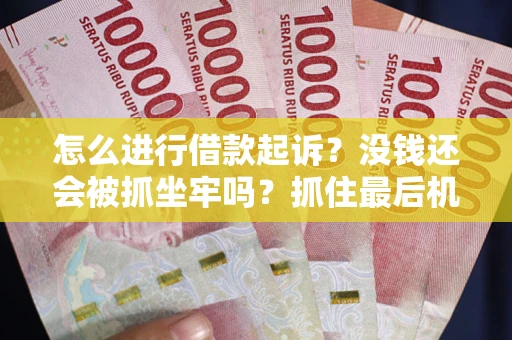北京怎么进行借款起诉？没钱还会被抓坐牢吗？抓住最后机会！