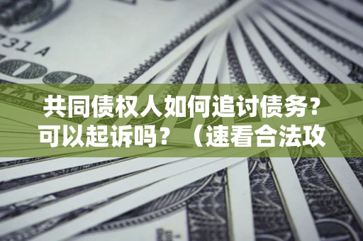 北京共同债权人如何追讨债务？可以起诉吗？（速看合法攻略）