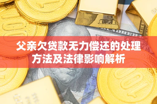 北京父亲欠贷款无力偿还的处理方法及法律影响解析