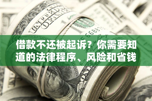 北京借款不还被起诉？你需要知道的法律程序、风险和省钱技巧